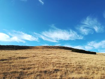 Scenic view of landscape against blue sky