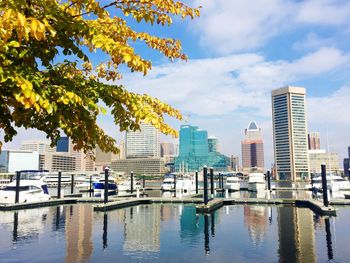 Boats moored at inner harbor against modern buildings