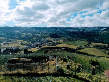 Scenic view of agricultural field against sky