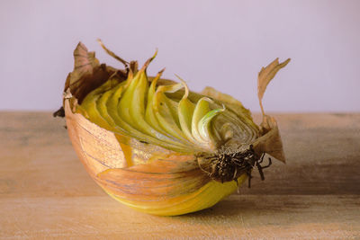 Close-up of bananas on table