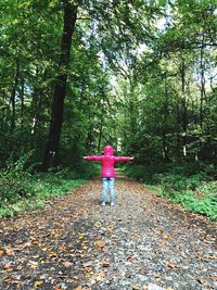 Rear view of person standing in forest