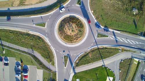 Panoramic view of trees