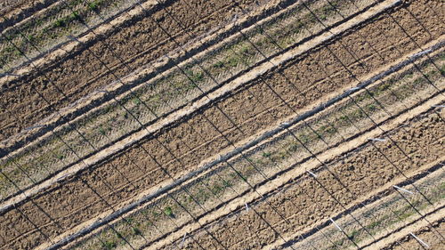 Full frame shot of agricultural field