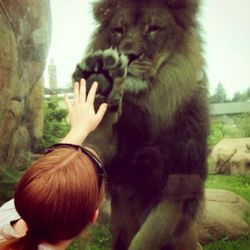 Portrait of woman with hand in zoo