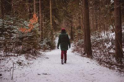 Rear view of woman walking in forest