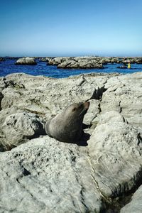 Scenic view of rocks on beach against sky