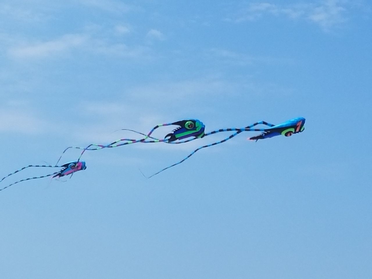 LOW ANGLE VIEW OF KITES AGAINST BLUE SKY