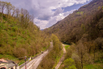 Panoramic shot of road amidst trees against sky