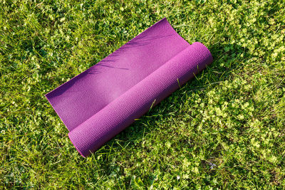 High angle view of bag on grassy field