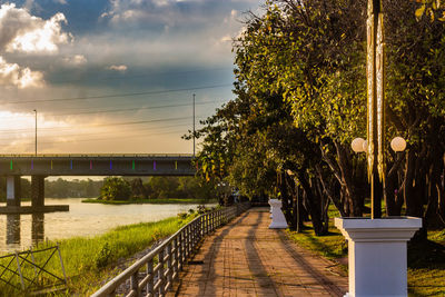 Footpath amidst trees against sky during sunset