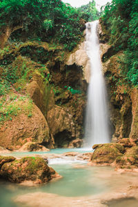 Scenic view of waterfall in forest