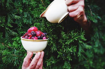 Person hiding behind tree pouring milk on berry fruits bowl