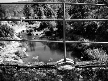 Reflection of trees in lake against sky