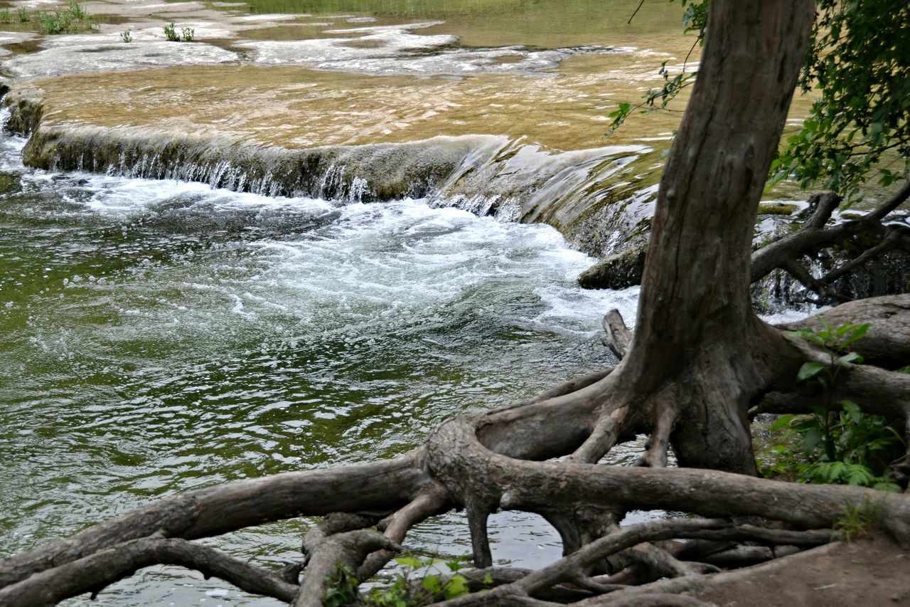 water, tranquility, nature, tranquil scene, tree, forest, beauty in nature, tree trunk, lake, scenics, river, winter, wood - material, snow, cold temperature, non-urban scene, day, fallen tree, branch, stream