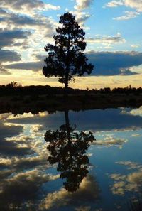 Reflection of clouds in lake