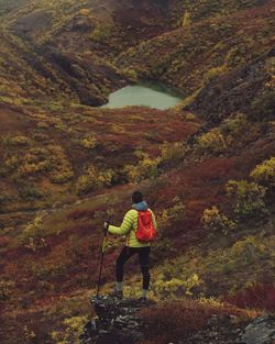 Rear view of man standing over mountain