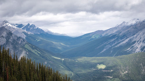 Beautiful alpine valley in canadian rockies, sulphur mountain,banff national park, alberta, canada