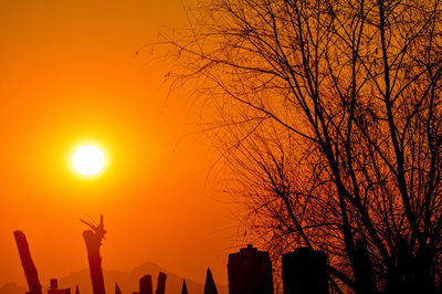 Low angle view of silhouette tree against orange sky