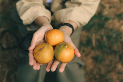 Midsection of man holding fruit