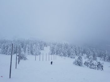 People skiing on snow covered landscape against clear sky