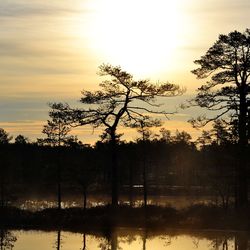 Silhouette trees by lake against sky during sunset