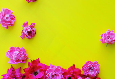 Close-up of pink roses