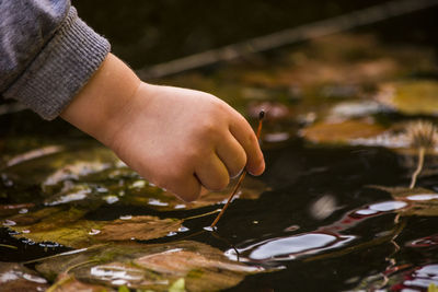 Cropped hand holding leaf in pond