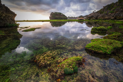 Tranquil view of ngrumput beach near gunungkidul yogyakarta