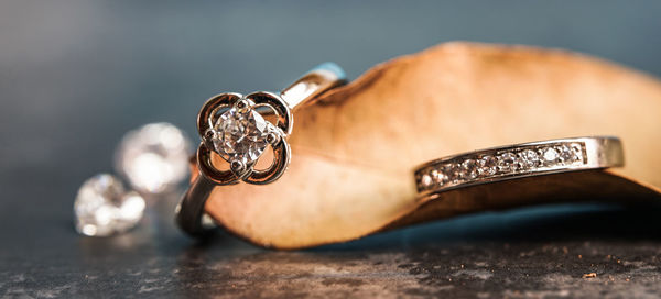 Close-up of snake on table