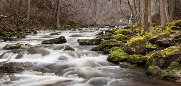 Stream flowing through rocks in forest