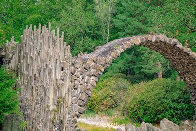 Stone wall with plants in foreground