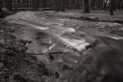 High angle view of stream flowing in forest
