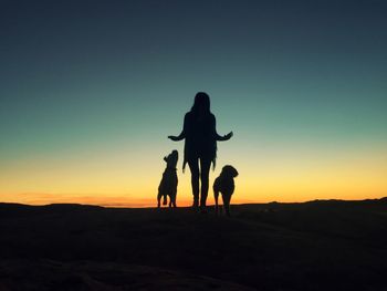 Silhouette woman with dogs walking on field against sky during sunset