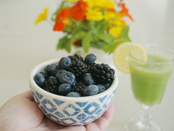 Close-up of hand holding fruits