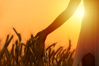 Midsection of woman in field