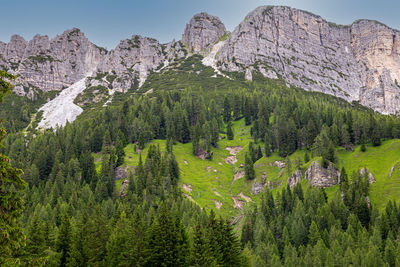 View of the dolomites with the underlying forest