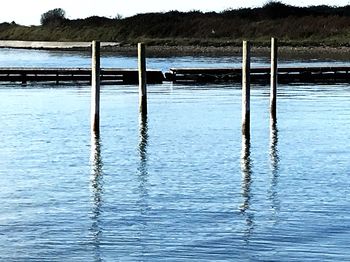 Wooden posts in lake against sky