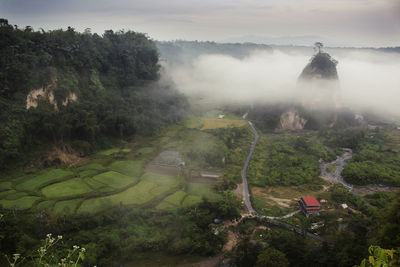 High angle view of trees on landscape against sky