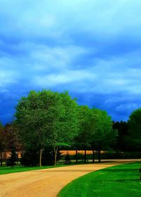 Trees on field against sky