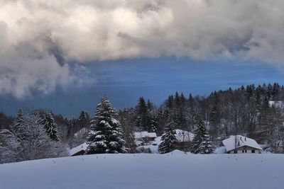 Snow covered plants and trees against sky
