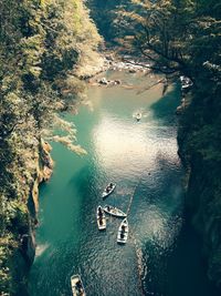 High angle view of river amidst trees in forest