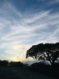 Silhouette trees on field against sky during sunset