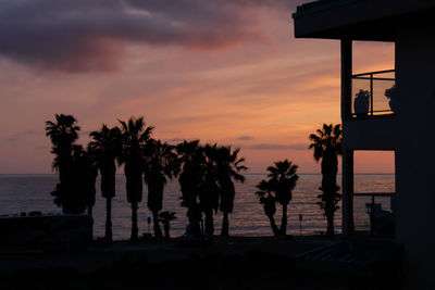 Silhouette palm trees on beach against sky during sunset