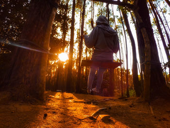 Low angle view of man in forest