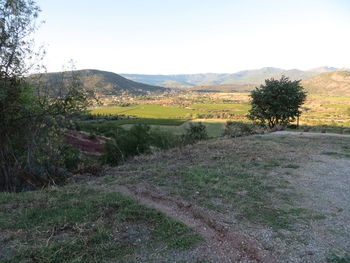 Scenic view of field against clear sky