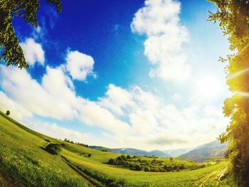 Scenic view of grassy landscape against sky