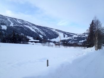 Snow covered land and trees against sky