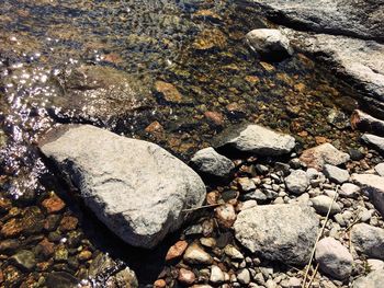 High angle view of pebbles in water