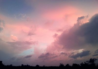 Low angle view of silhouette trees against sky at sunset