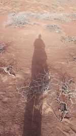 Shadow of person on sand